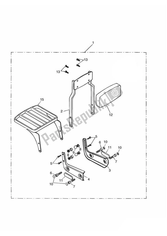 All parts for the Sissy Bar Tall + Luggage Rack Kit of the Triumph America Carburettor 790 2002 - 2007